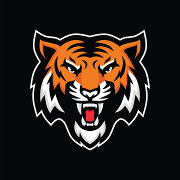 tiger mascot logo sport design