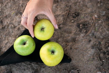Green apples in the park