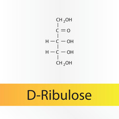 Straight chain form chemical structure of D-Ribulose sugar. Scientific vector illustration on white and orange background.