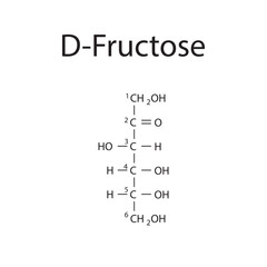 Straight chain form chemical structure of D-Fructose sugar. Scientific vector illustration on white background, with carbon numbering.