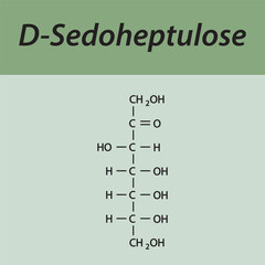 Straight chain form chemical structure of D-Sedoheptulose sugar. Scientific vector illustration on green background.