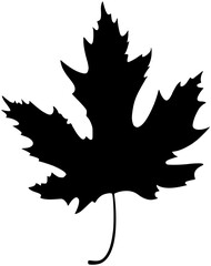 leaf silhouette vector