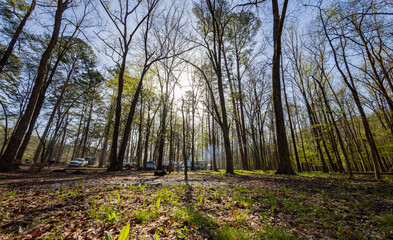 Sunny view of the Cypress Campground in Beavers Bend State Park