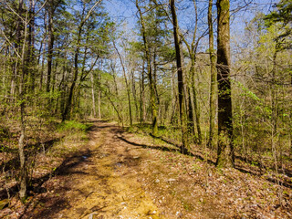 Sunny view of the Lookout Mountain Trail landscape of Beavers Bend State Park
