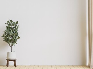 big white living room.interior design,woodedn floor, tree,empty wall for mock up and copy space..