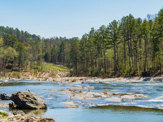Sunny view of the landscape of Friends Trail Loop Trail in Beavers Bend State Park