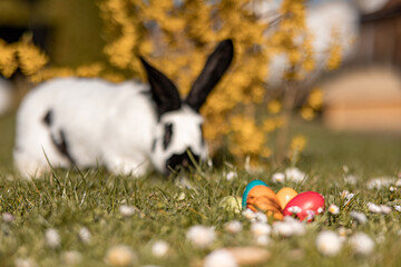 easter bunny with easter eggs