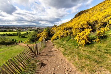 Obraz premium Holyrood park