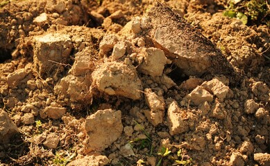 Primo piano terra arata, italia