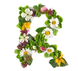 Letter symbol R of colorful field fresh flowers isolated on white