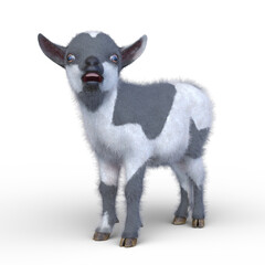 子ヤギ © tsuneomp