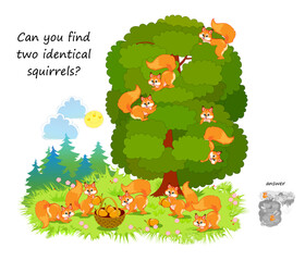 Logic puzzle for children and adults. Can you find two identical squirrels? Page for kids brain teaser book. Task for attentiveness.  IQ test. Play online. Vector cartoon illustration.