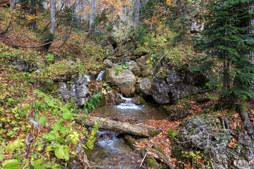 Autumn, nature walks, mountain panorama, stream sources and hiking trails, warm autumn weather.