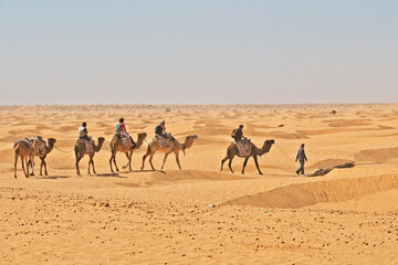 Guide leading four travelers riding camels in the Sahara Desert of Tunisia