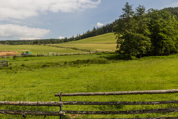 Obraz premium Meadows near Sanov village, Czech Republic