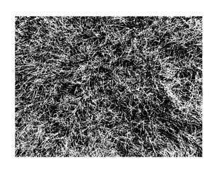 black and white grass texture background
