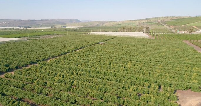 Aerial view of agricultural field along Sea of Galilee lake, Israel.
