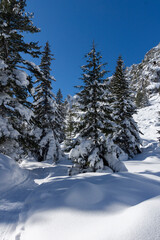 Winter view of Rila Mountain near Malyovitsa peak, Bulgaria