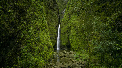 Fototapeta na wymiar Hawaii waterfall. Green Hawaiian hike nature. Travel destination.