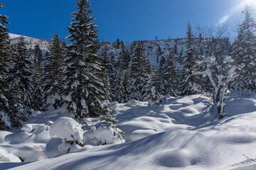 Obraz premium Winter view of Rila Mountain near Malyovitsa peak, Bulgaria
