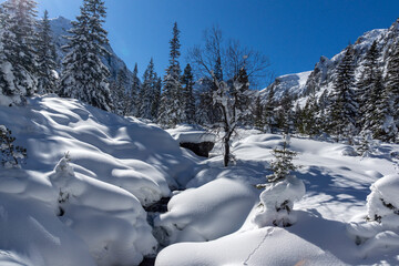 Winter view of Rila Mountain near Malyovitsa peak, Bulgaria