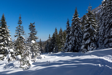 Winter view of Rila Mountain near Malyovitsa peak, Bulgaria