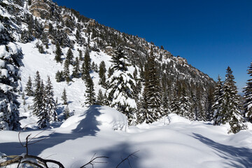 Fototapeta premium Winter view of Rila Mountain near Malyovitsa peak, Bulgaria