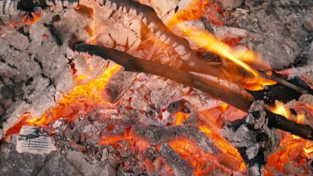 beautiful flaming wood fire. Oak wood. Flames are rising. charred wood