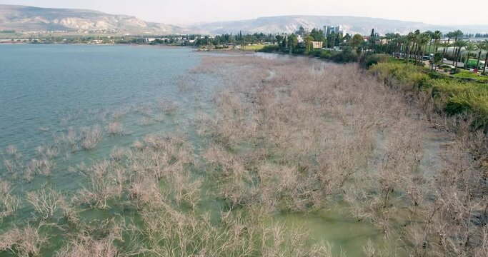 Aerial view of a lake shore line, Sea of Galilee, Israel.