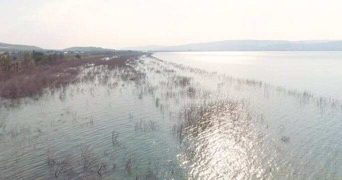 Aerial view of a lake shore line, Sea of Galilee, Israel.