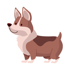 Obraz na płótnie Canvas jack russell dog mascot
