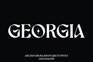 Aesthetic and elegant decorative serif font vector illustration
