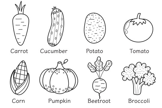 Black and white vegetables collection in cartoon style. Healthy food coloring page or poster with vegetables and their names. Great for recipes, cookbook and vegan prints. Vector illustration