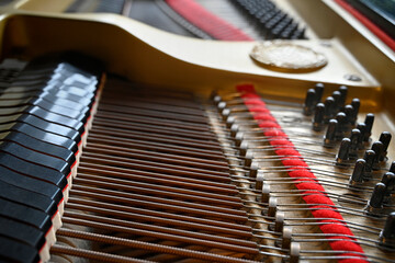 Grand Piano Strings, Hammers, Tuning Pegs, and dampers Closeup
