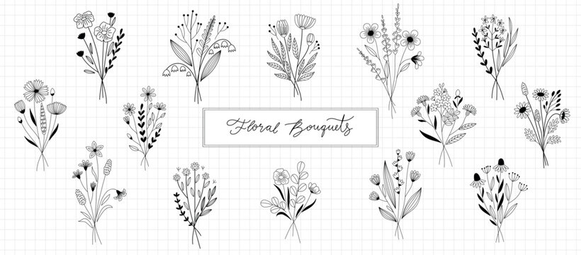 Floral bouquets, botanical set - leaves, plants, flowers. Cute hand drawn style. Black stroke