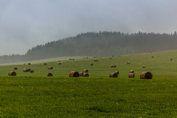 Meadows near the southernmost point of the Czech Republic