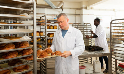 Smiling experienced baker placing tray with freshly baked rolls on rack trolley in small bakery..