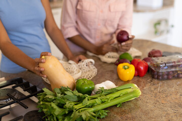 Midsection of diverse lesbian couple unpacking vegetables and fruits on kitchen island