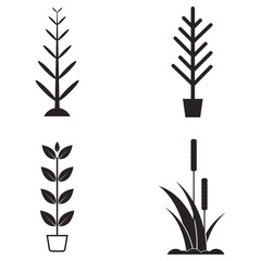 plant vector icon