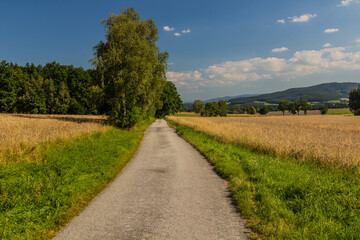 Fototapeta na wymiar Rural landscape near Kremze village, Czech Republic