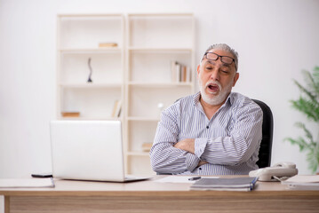 Old male employee working in the office