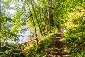 Hiking trail in a forest along Luznice river, Czech Republic