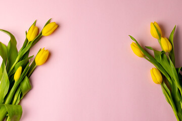 Image of yellow tulips with copy space on pink background © vectorfusionart