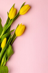 Image of yellow tulips with copy space on pink background © vectorfusionart