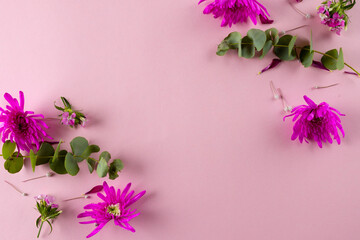 Image of pink flowers with copy space on pink background