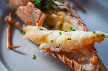 fresh lobster or rock lobster seafood with herb and spices lemon coriander parsley lettuce salad,...