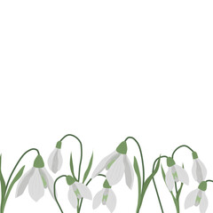 A frame of snowdrops for your design. First spring flowers. Vector illustration.