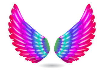 Obraz na płótnie Canvas realistic rainbow angel wings isolated - 3d illustration