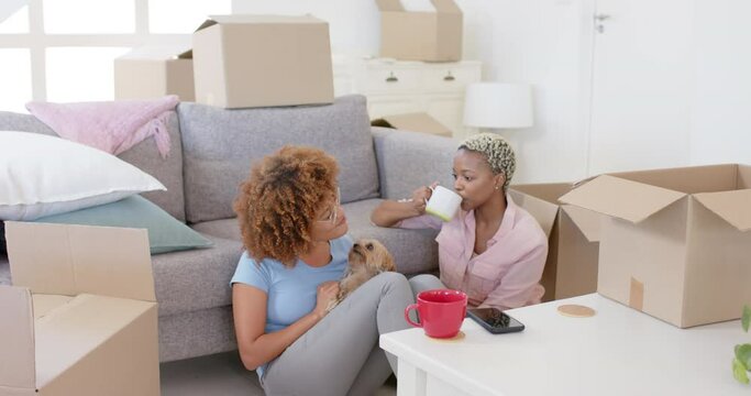 Happy diverse female lesbian couple with boxes moving house and petting dog in slow motion