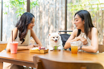 Asian woman friends have fun urban lifestyle playing with pomeranian dog together during meeting party at pets friendly cafe on summer vacation. Pet humanization or pet ownership community concept.